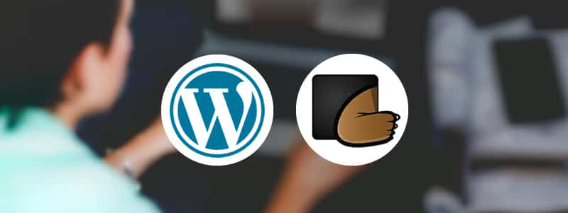 قالب های وردپرس در ThemeForest