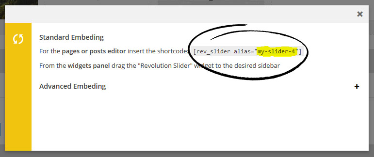 مشکل افزونه Revolution Slider