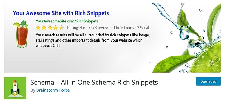 افزونه وردپرس All In One Schema.Org Rich Snippets