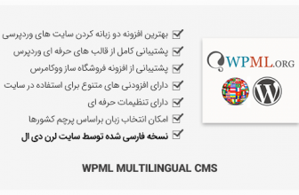 افزونه WPML + افزودنی ها