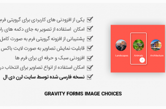 افزونه Gravity Forms Image Choices – استفاده از تصویر در گرویتی فرم