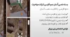 سایت آماده شرکت مهاجرتی و صدور ویزا