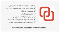 افزونه Permalink Manager Pro – مدیریت لینک های داخلی