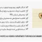 افزونه WPC Photo & Video Reviews – تصویر/ویدیو در دیدگاه محصول